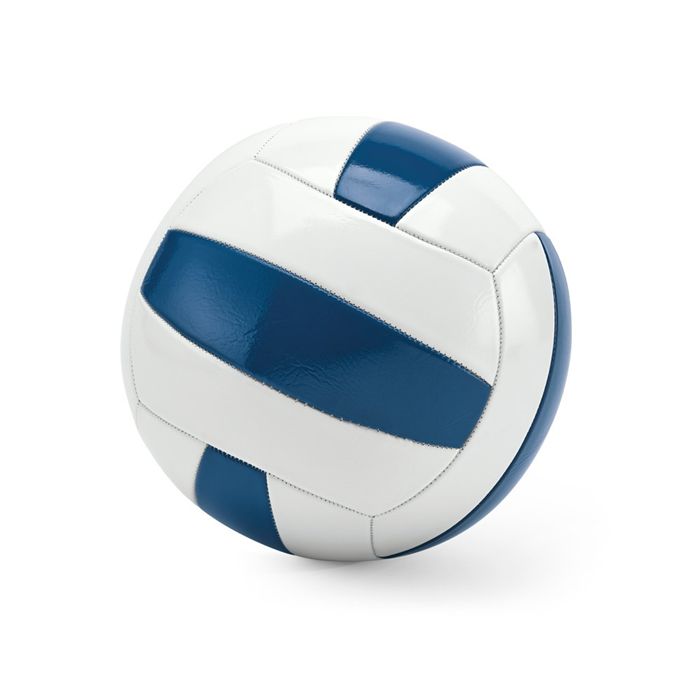  Ballon de volley-ball