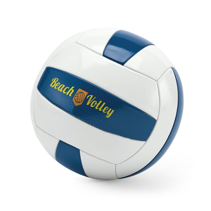  Ballon de volley-ball