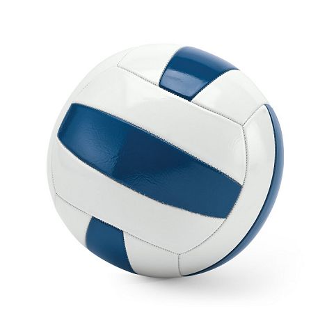  Ballon de volley-ball