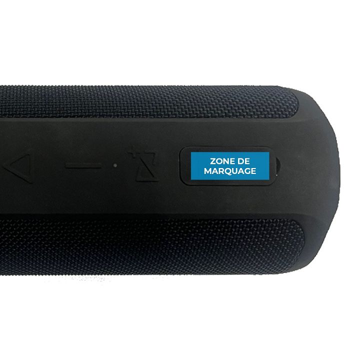  Enceinte haute puissance 30W - BLAUPUNKT