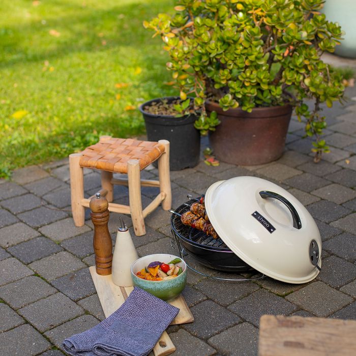  Barbecue à charbon portable