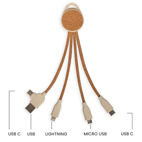  Câble de charge multi-embouts